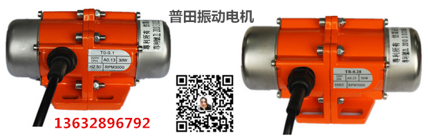 TB70/2S-2振動電機(jī)